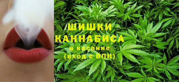 прущие грибы Абинск
