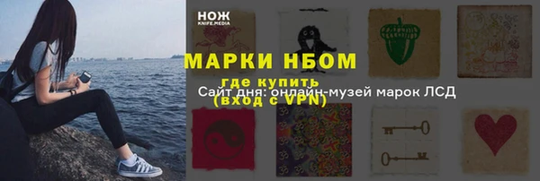 прущие грибы Абинск