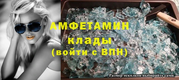 прущие грибы Абинск