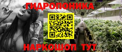 бутират Кингисепп