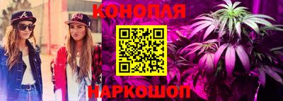 бутират Кингисепп