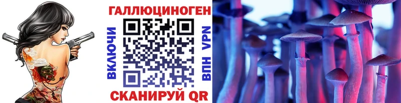 цена мега как зайти Псилоцибиновые грибы прущие грибы Краснодар