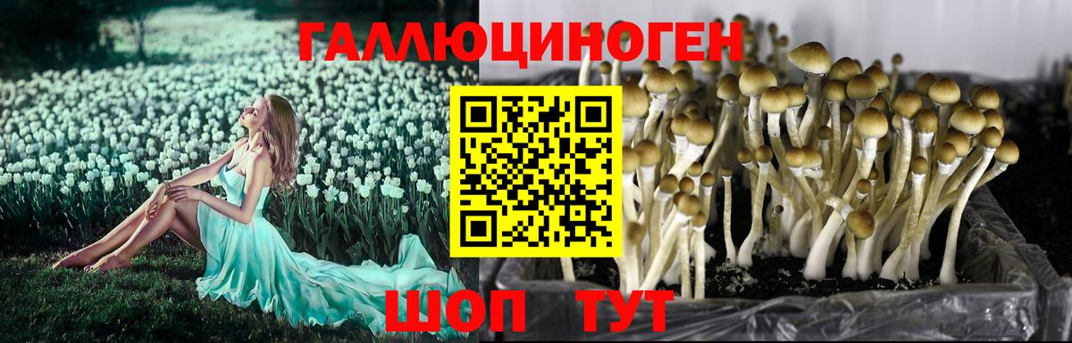 Галлюциногенные грибы ЛСД Краснодар
